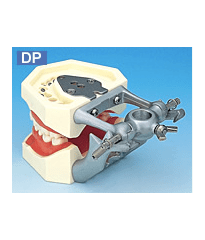 Articulator For Typodont Jaw