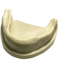 Mandible for Implant Training with Gingiva