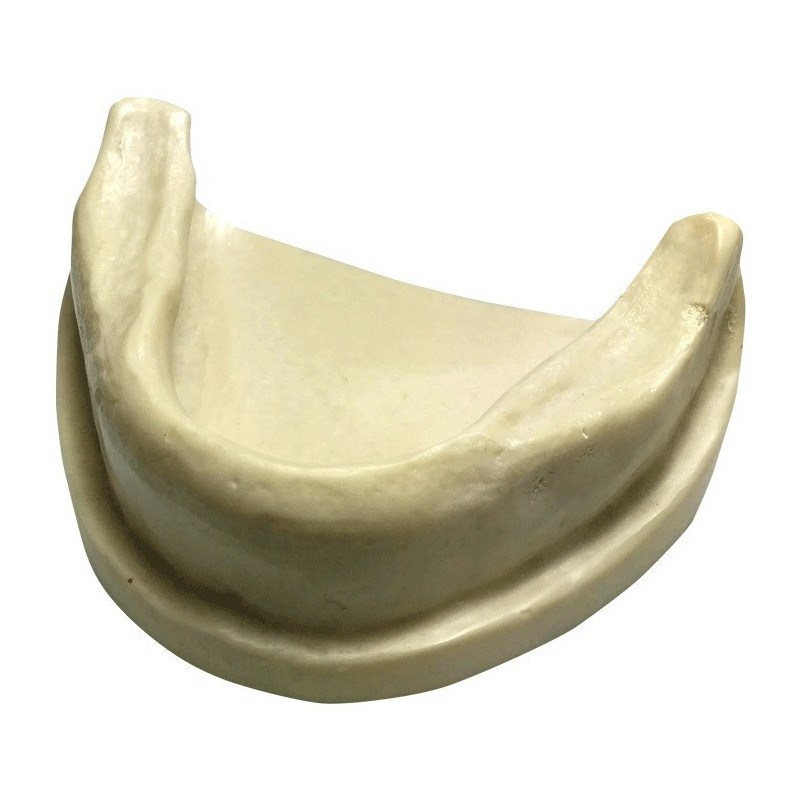 Mandible for Implant Training with Gingiva