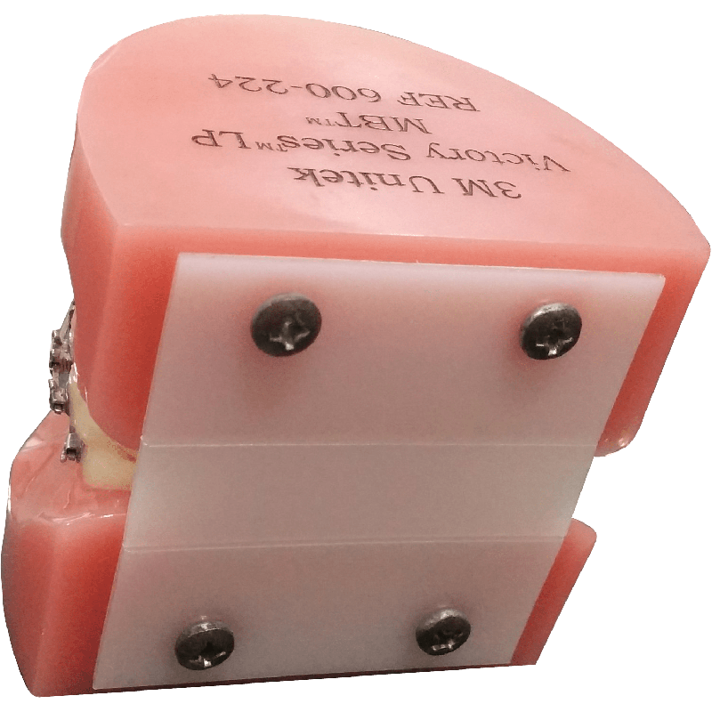 Plastic Hinges Articulator for Dental Typodont