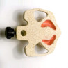 Sinus Lift model with Jaw bone
