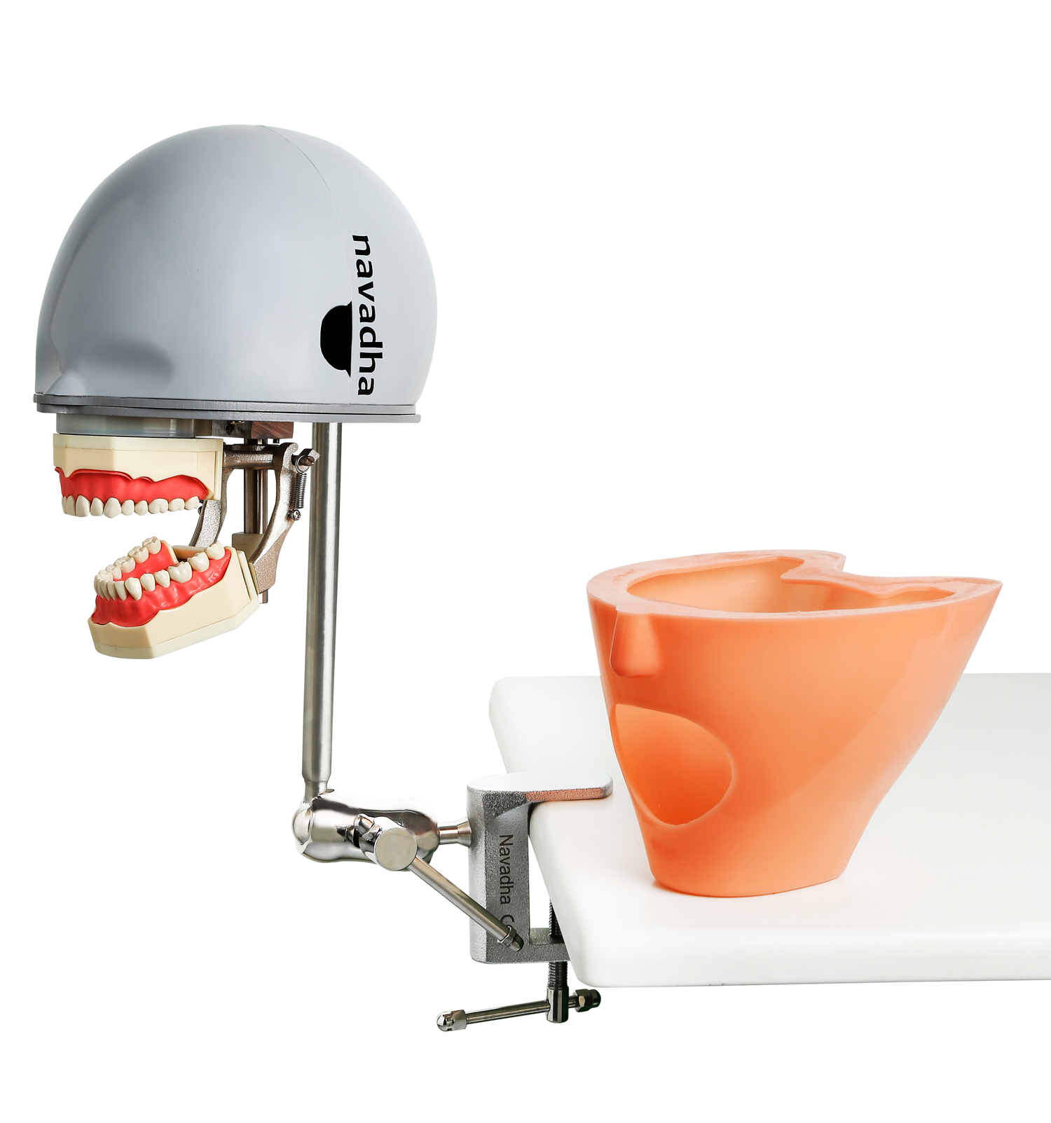 Dental Simulators