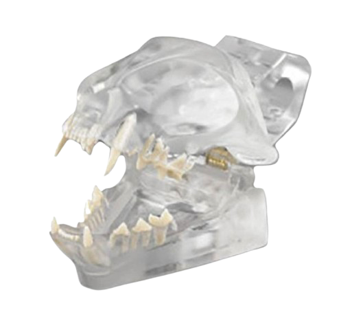 Veterinary Simulators