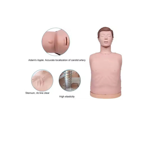 EP1100 Adult Half Body CPR Manikin