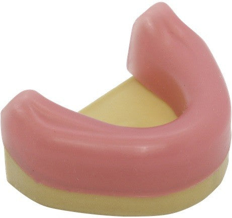 Dental Mandible with Gingiva for Implant Training