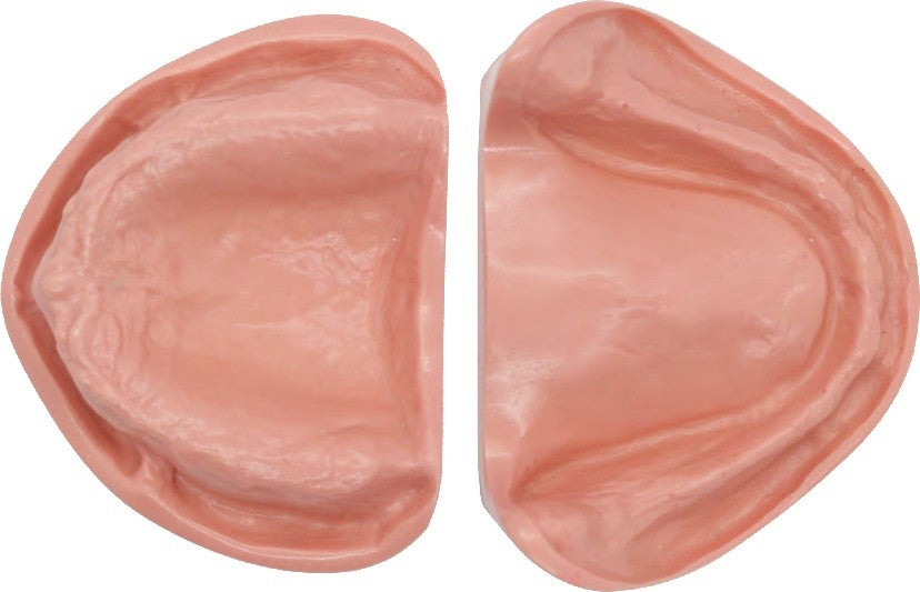 Edentulous Model for Prosthetic Training