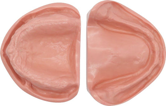 Edentulous Model for Prosthetic Training