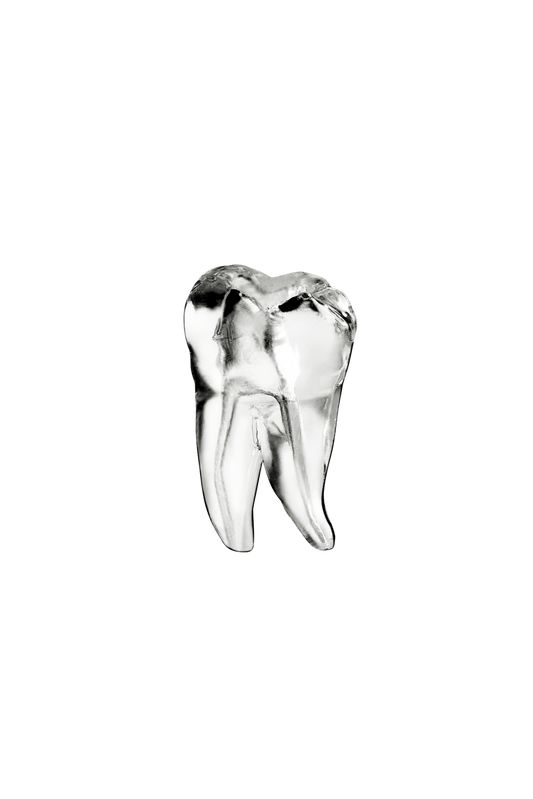 Endo Teeth with Clear Root Canal #14