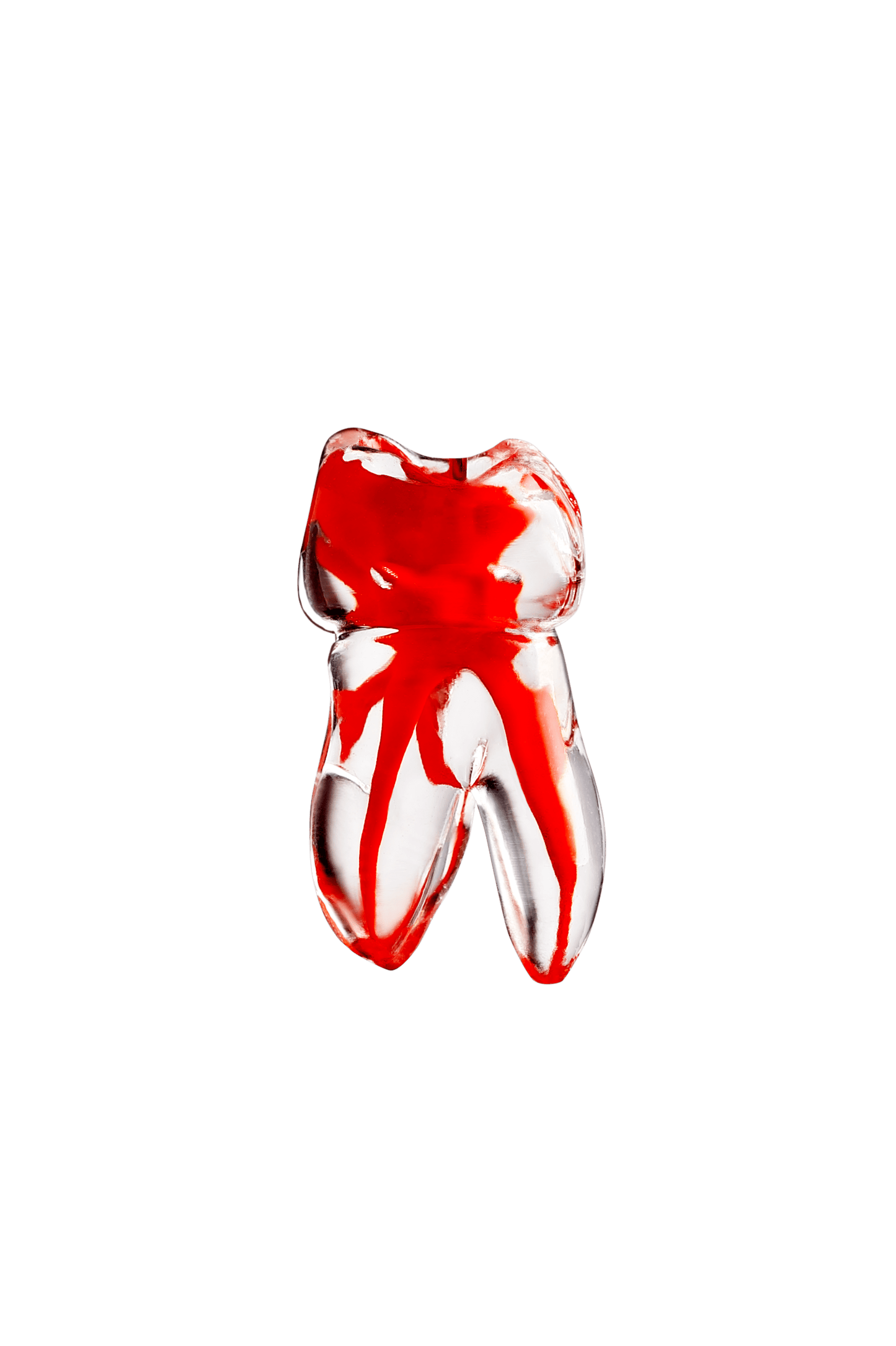 Endo Teeth with Colored Root Canal