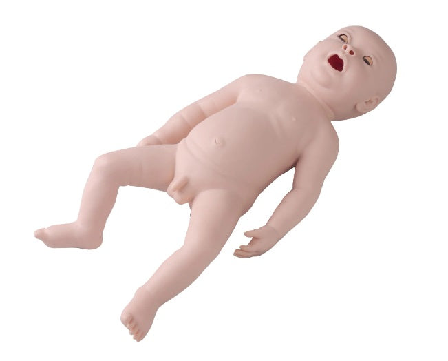 FA6248 Neonatal Endotracheal Intubation Model