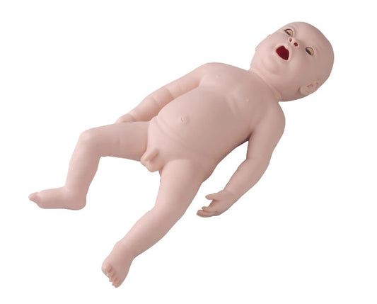 FA6248 Neonatal Endotracheal Intubation Model