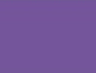 Zirc Steri-Endo Guard Hand Purple