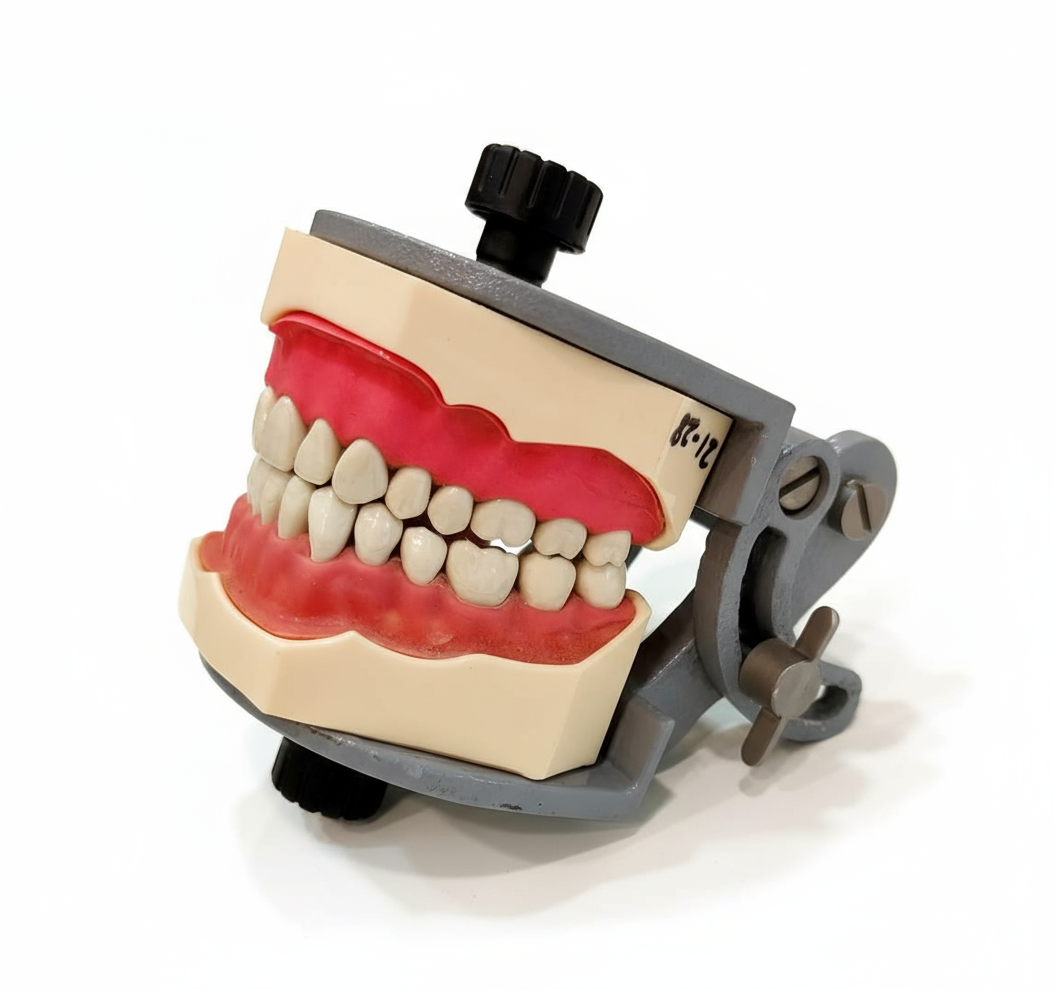 Universal Adjustable Articulator for Dental Models