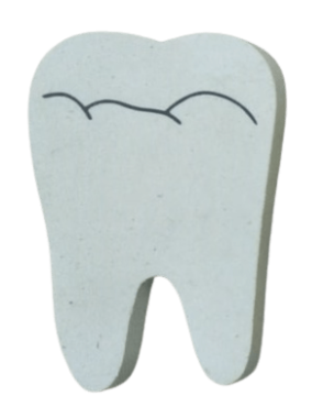 Gifts for Good Dental Checkups Large Tooth Erasers